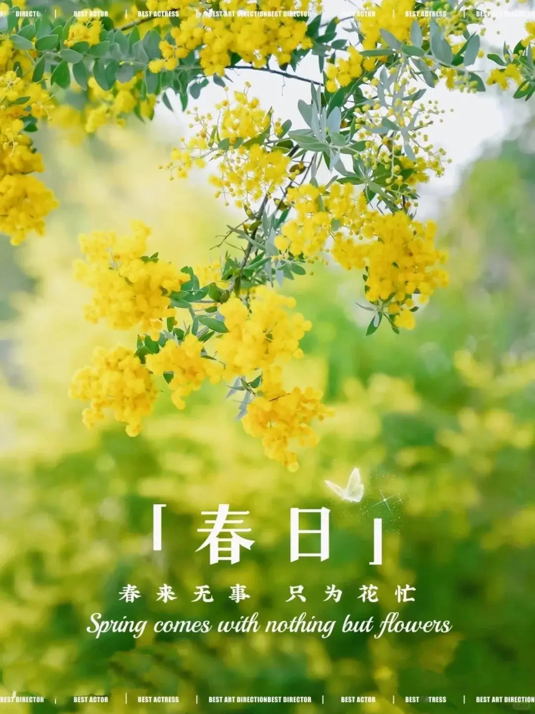 五月天有多少首歌_五月有几天_五月天有哪些歌