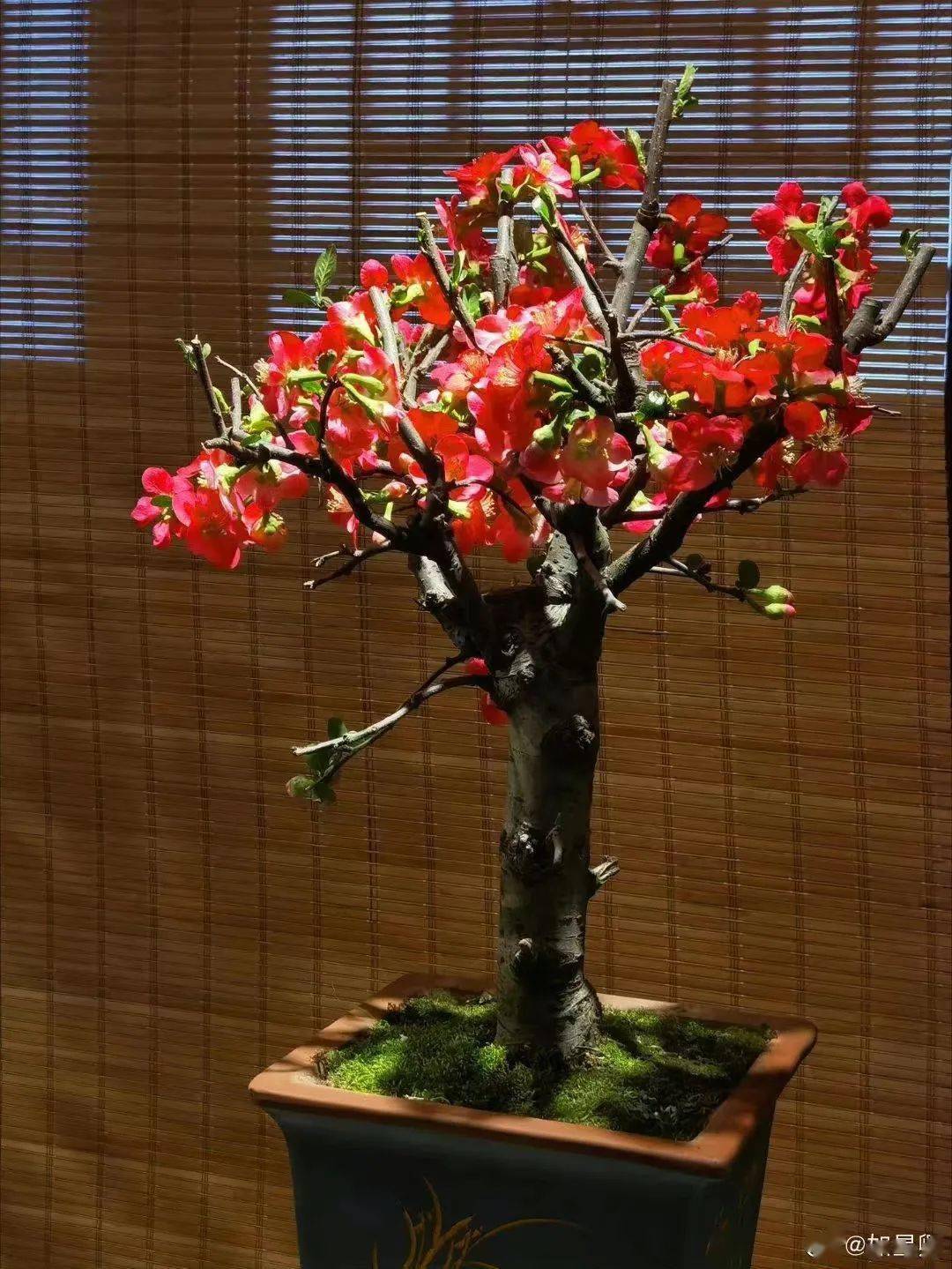 过年时间2024春节冷吗_2023过年时间_过年时间2017春节
