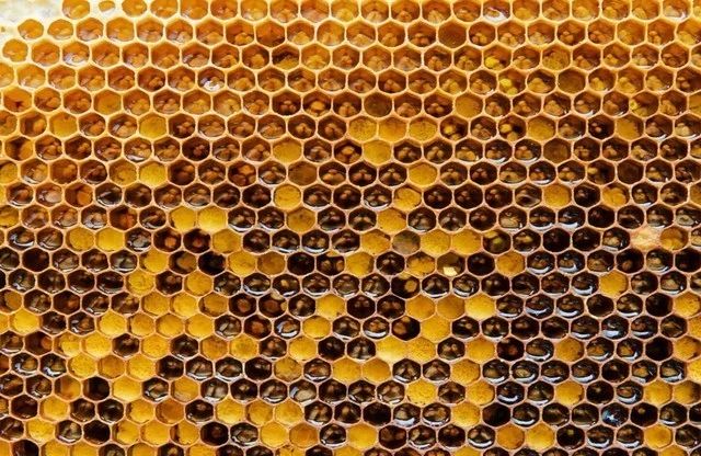 用泡沫箱做收纳箱教程_微pe工具箱装win10详细教程_安装箱子怎么装