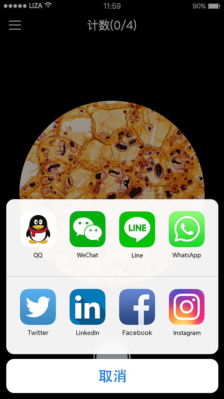官方下载whatsapp_whatsapp官网免费下载_whatsapp官网版中文下载