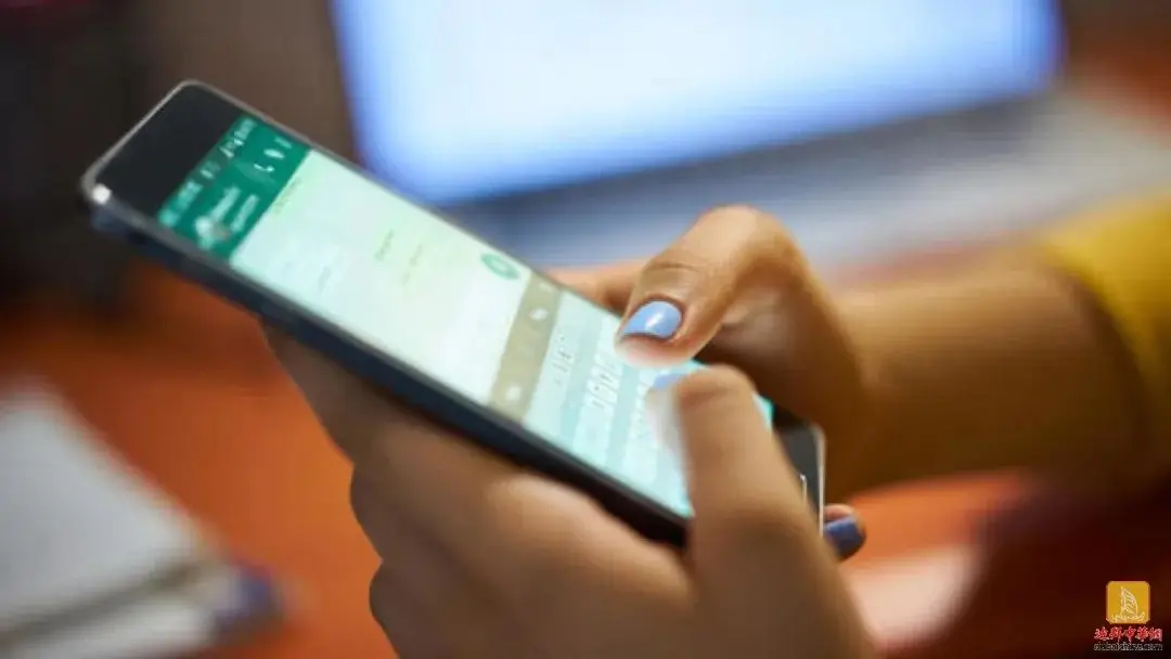 whatsapp官网免费下载_whatsapp官网版中文下载_官方下载whatsapp