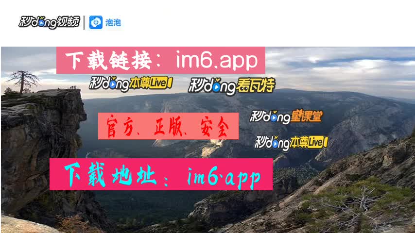 钱包模拟器_im钱包1.0_钱包什么牌子好男士