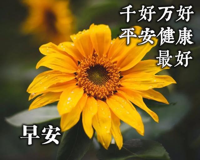 五月一日放假_五月放假了_放假五月份
