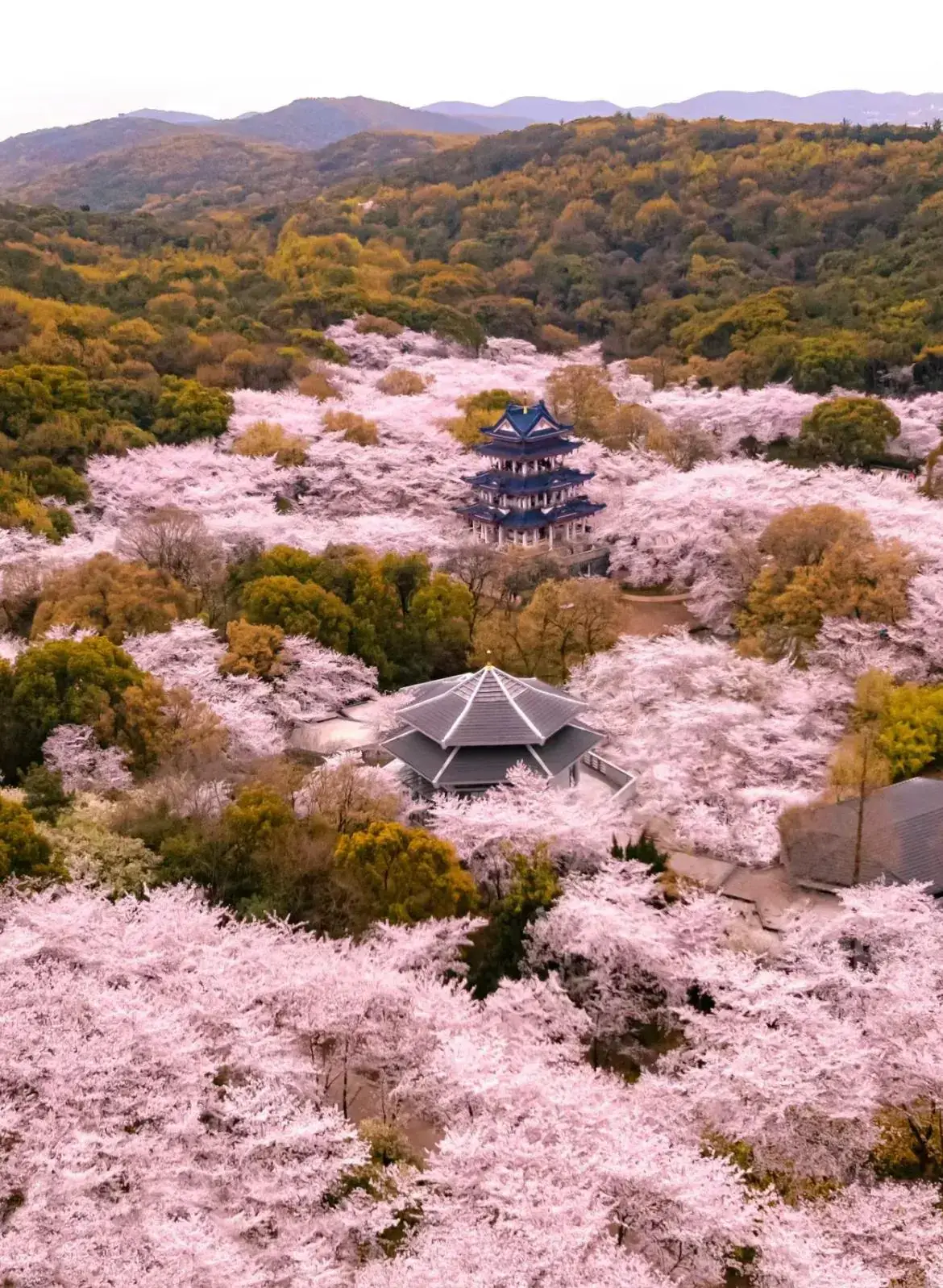 手机游戏+山_山游戏安卓版_手机登山游戏
