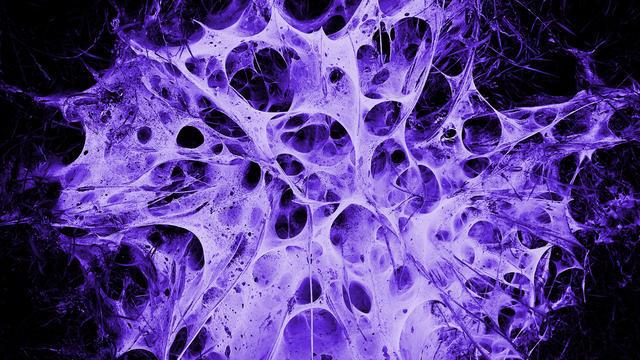 手机游戏找不到数据包_查看包无法数据手机游戏怎么办_手机游戏的数据包无法查看