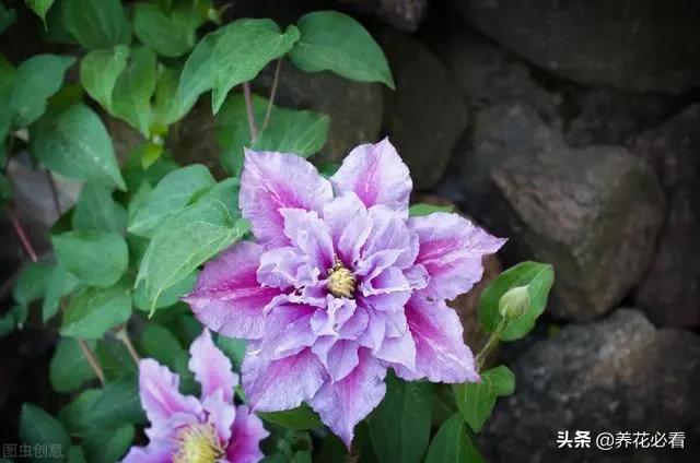 tp钱包密钥在哪里能找到_钱包密钥在哪里能找到_钱包密钥是什么意思