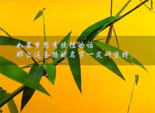 驮作_驮作_驮作