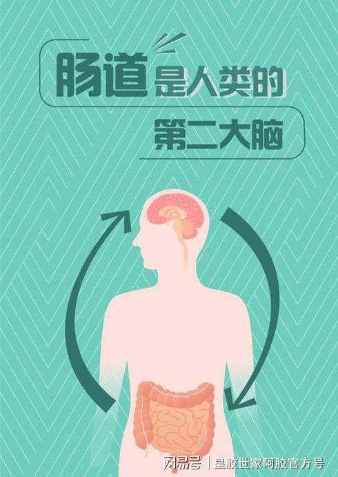 清毒素的食物_手机游戏清毒素_清理毒素吃什么好