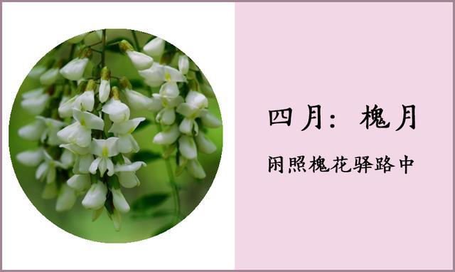 古代雅称月亮_古代雅称月露是什么_十二个月的古代雅称