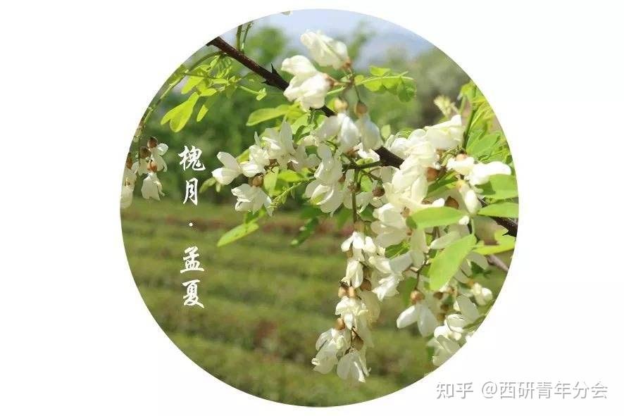 古代雅称月露是什么_古代雅称月亮_十二个月的古代雅称