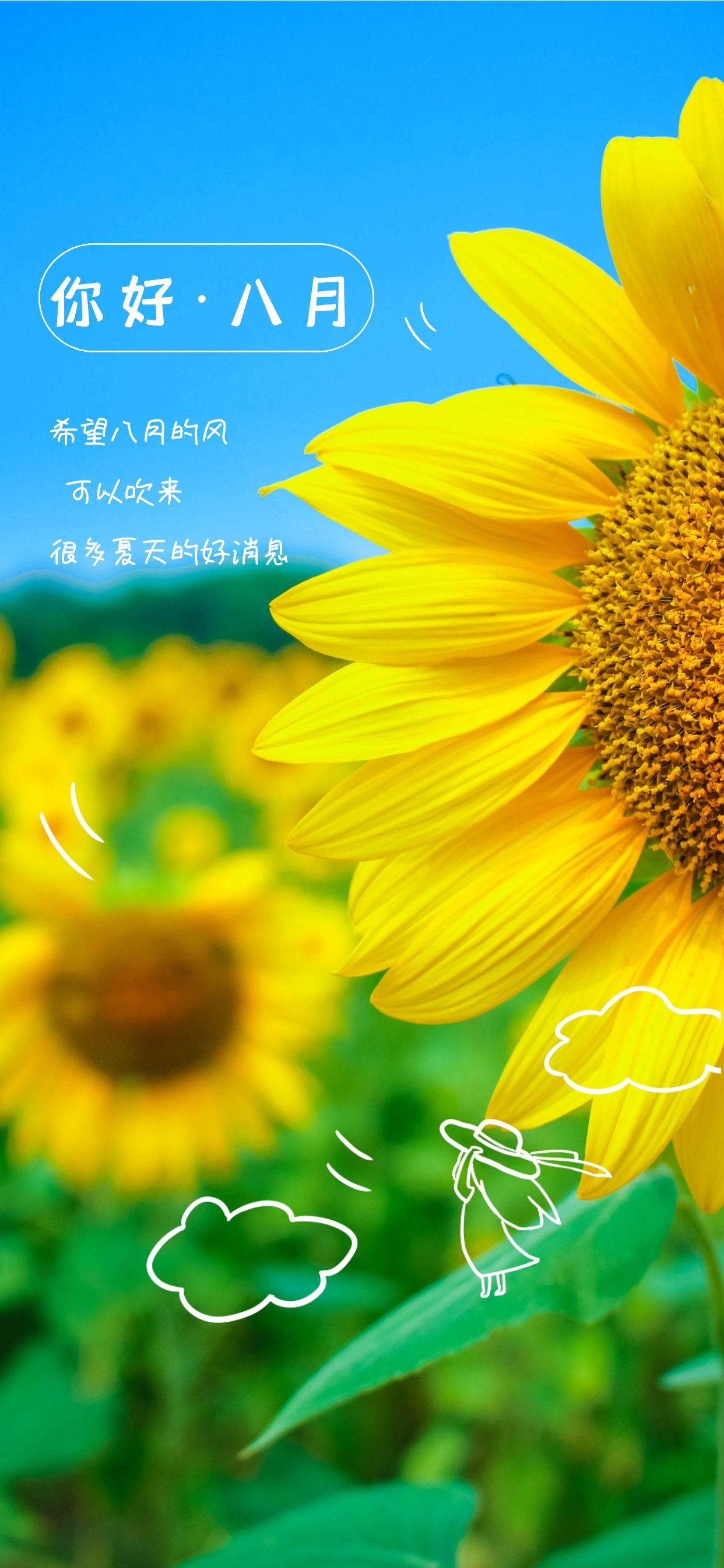 8月份日历_日历月份英文缩写_日历月份牌