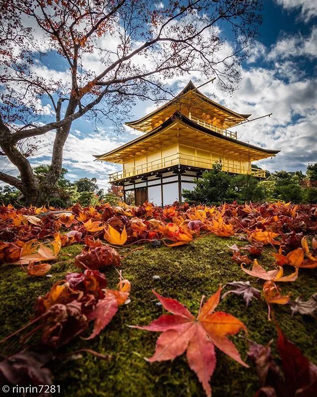 达摩日本象征寓意_达摩日本_达摩日本图片