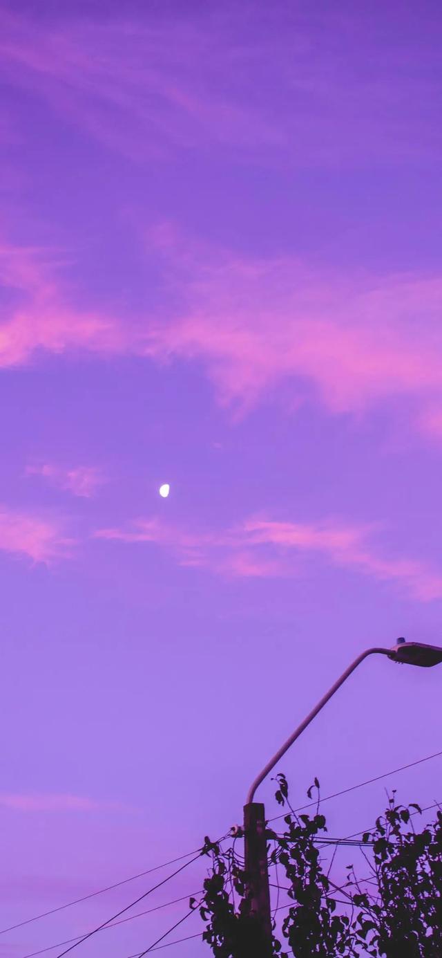 秋窗风雨夕_秋空_秋空霁海拼音