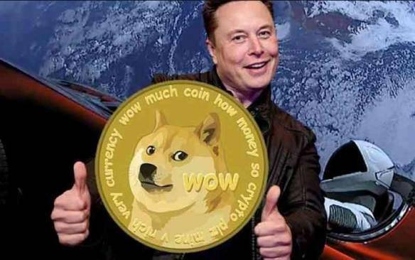 狗狗币钱包dogecoin_tp钱包支持狗狗币_狗狗币tp钱包