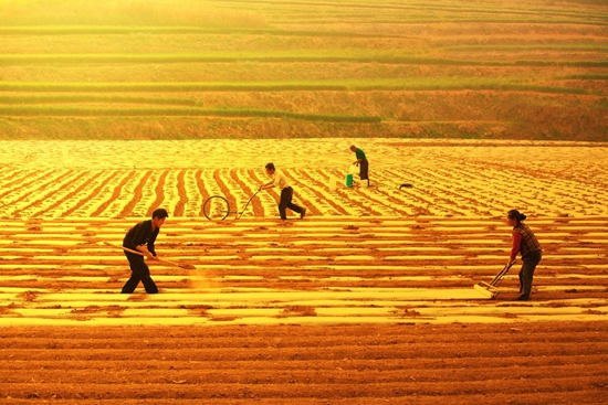 云筑工匠app下载_筑匠教育官网_筑匠app怎么样