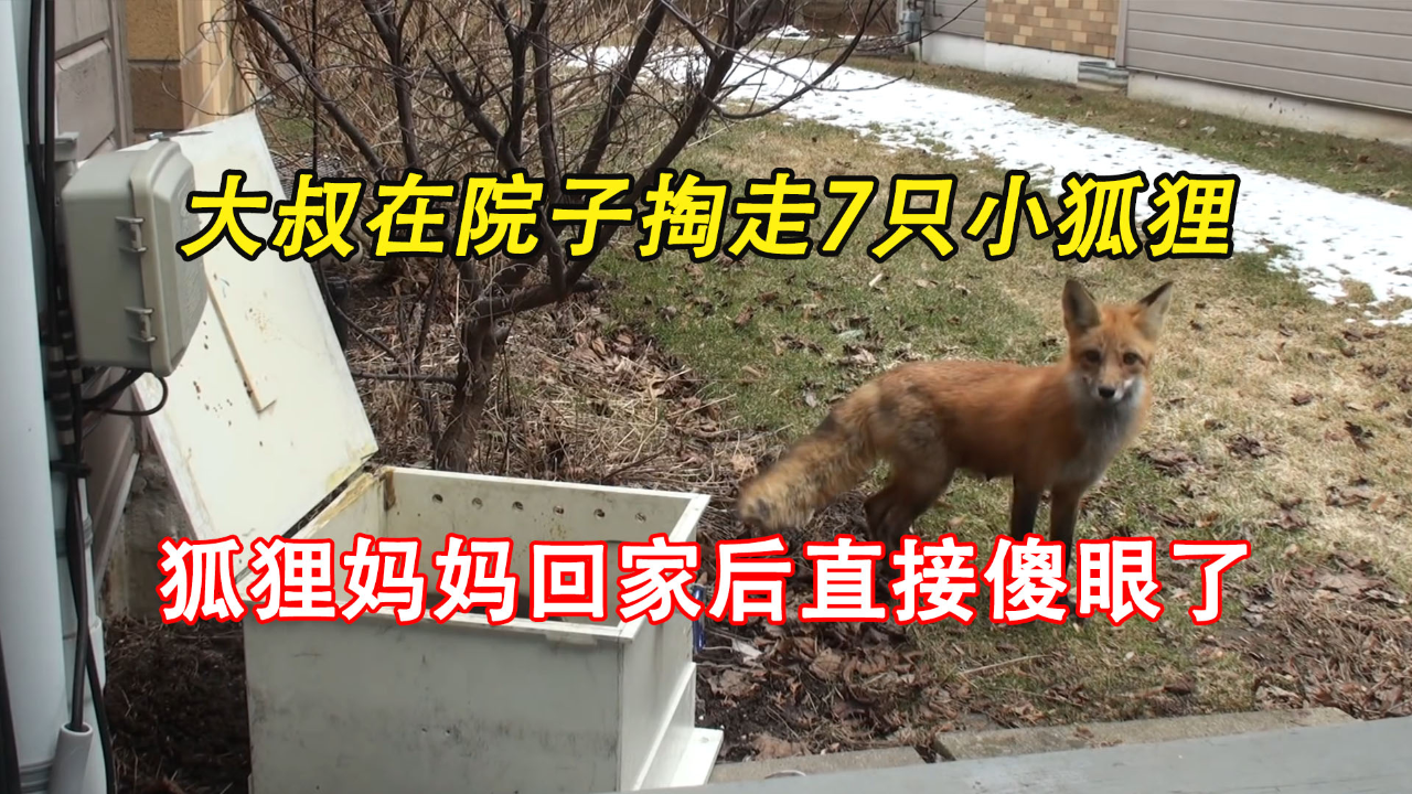 小狐狸钱包教程_小狐狸钱包里的币被盗了_小狐狸钱包被盗怎么办视频