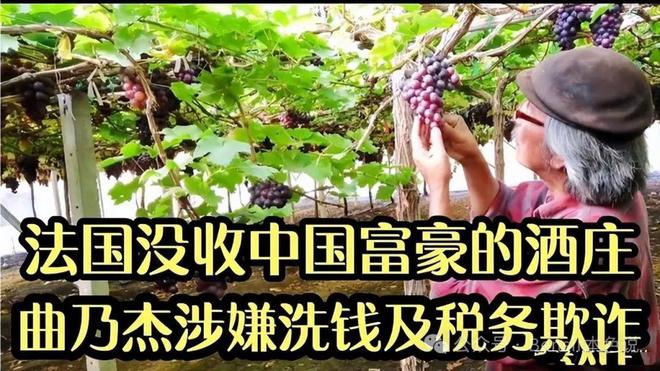 币钱包怎么使用交易_tp钱包怎么把币转回币安_币钱包有什么用