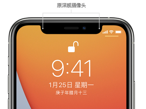 面容id可以干嘛_面容id只能用一个人的吗_苹果手机面容id不可用怎么办