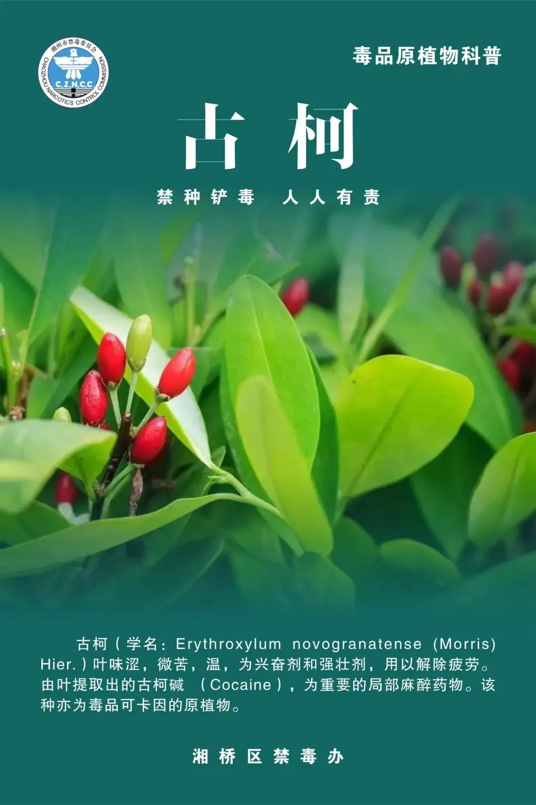 消灭方块攻略_消灭方块_消灭方块君
