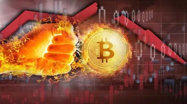 imtoken钱包源码_imtoken钱包开源吗_imtoken钱包源码购买