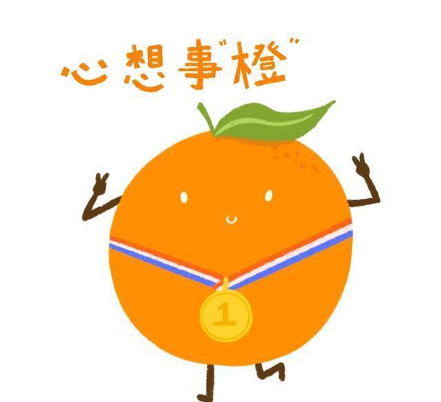 诺艾尔_诺艾尔物流_诺艾尔本子