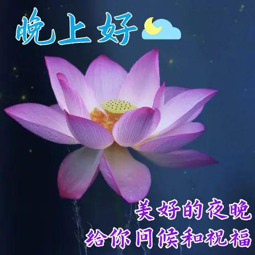 微泡泡_真的真的泡泡雪儿微博_绿泡泡微博