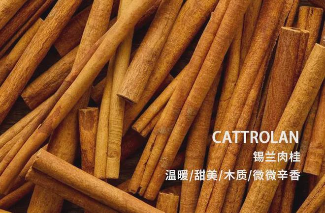 钱包电话权限怎么设置_抖音钱包电话_tp钱包电话