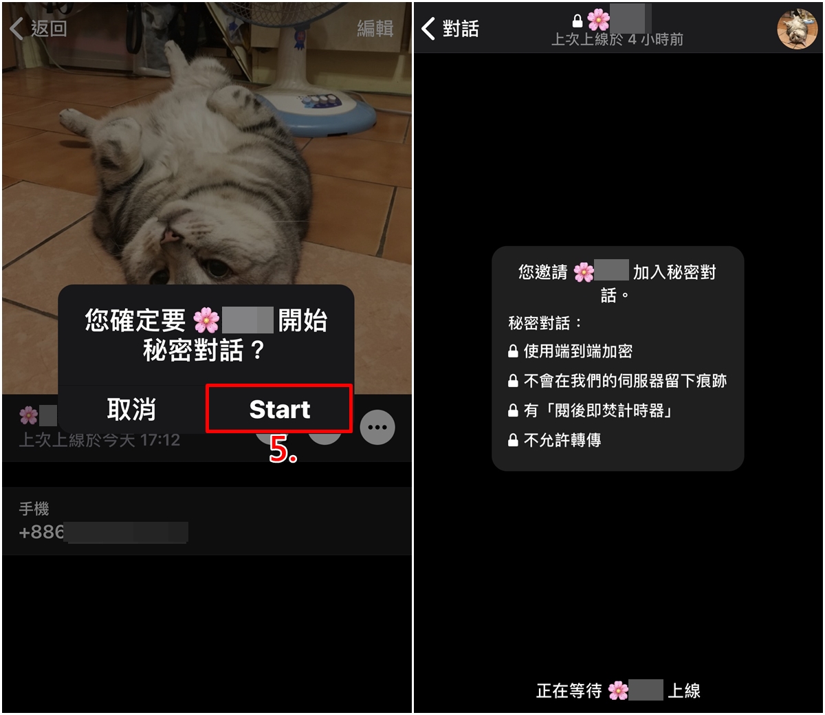 隐身在线模式蛋仔派对_telegram 隐身在线_隐身在线会影响qq等级