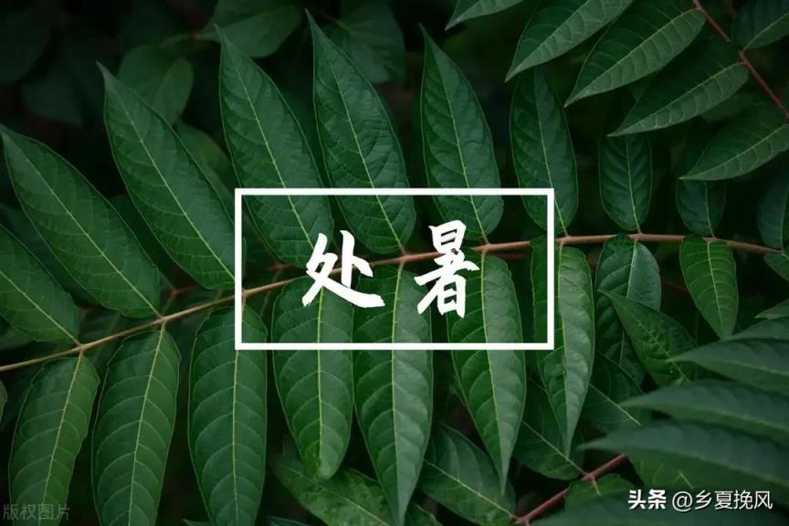 立秋时间几分几秒_2023年立秋时间几点几分几秒钟_2021立秋几时几分几秒