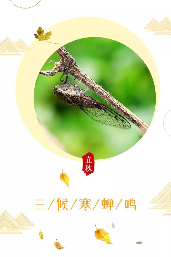 立秋时间几分几秒_2023年立秋时间几点几分几秒钟_2021立秋几时几分几秒