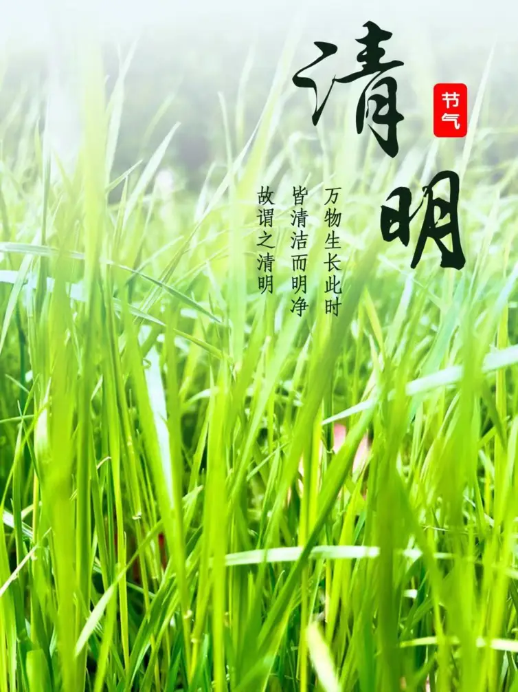 清明素材文字图片_清明节文字素材_清明素材文字节选