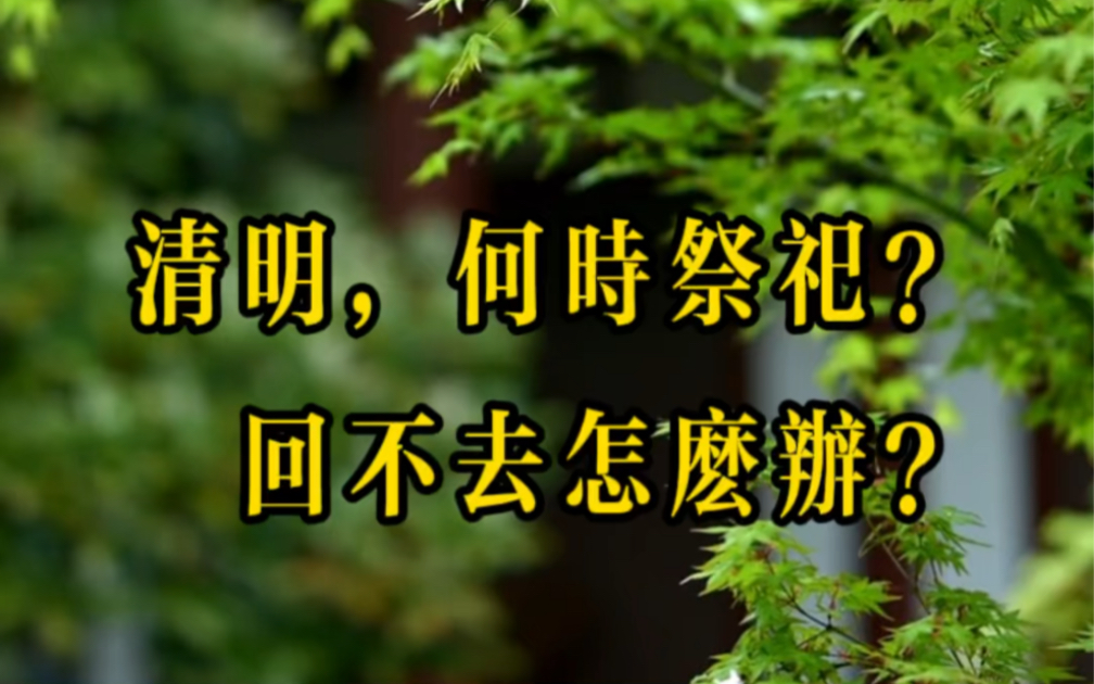 清明素材文字图片_清明节文字素材_清明素材文字节选