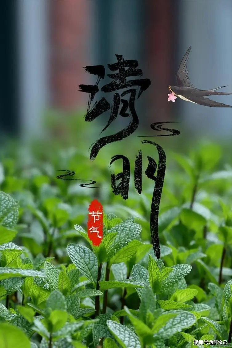 清明素材文字节选_清明素材文字图片_清明节文字素材