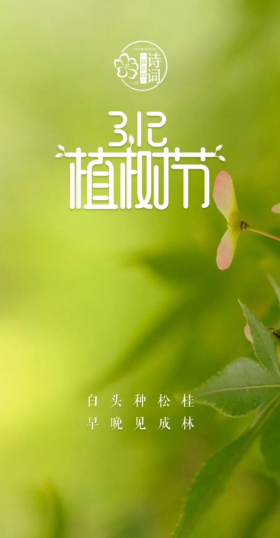 植树节是多少月多少日星期几_植树节是多少月多少号_植树节是几月几号