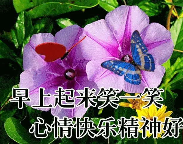 2024年三伏天时间表_今年建国多少年2024_2024年什么年
