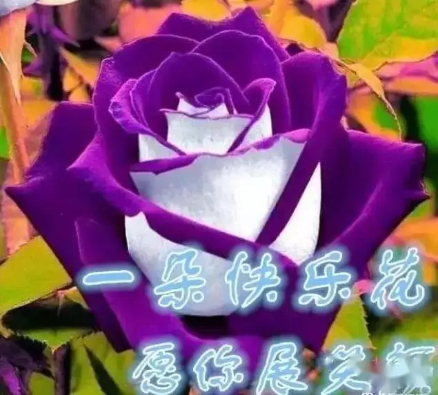2024年什么年_2024年三伏天时间表_今年建国多少年2024
