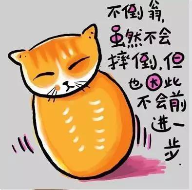 亚辛布努_亚辛_约旦王后亚辛拉尼娅