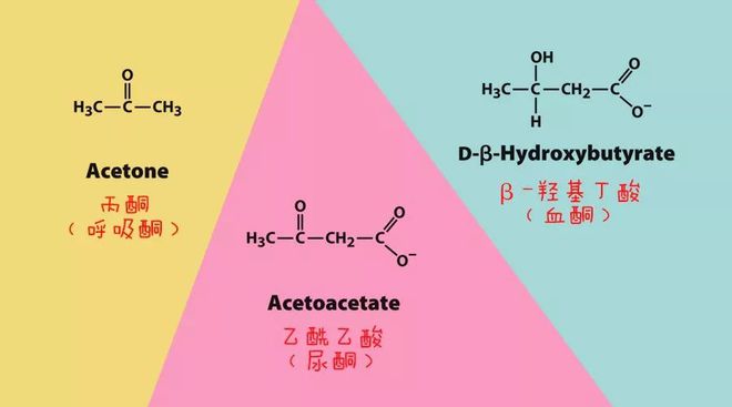 手机算数喝酒游戏_喝酒玩的数字游戏怎么玩_喝酒游戏5101520