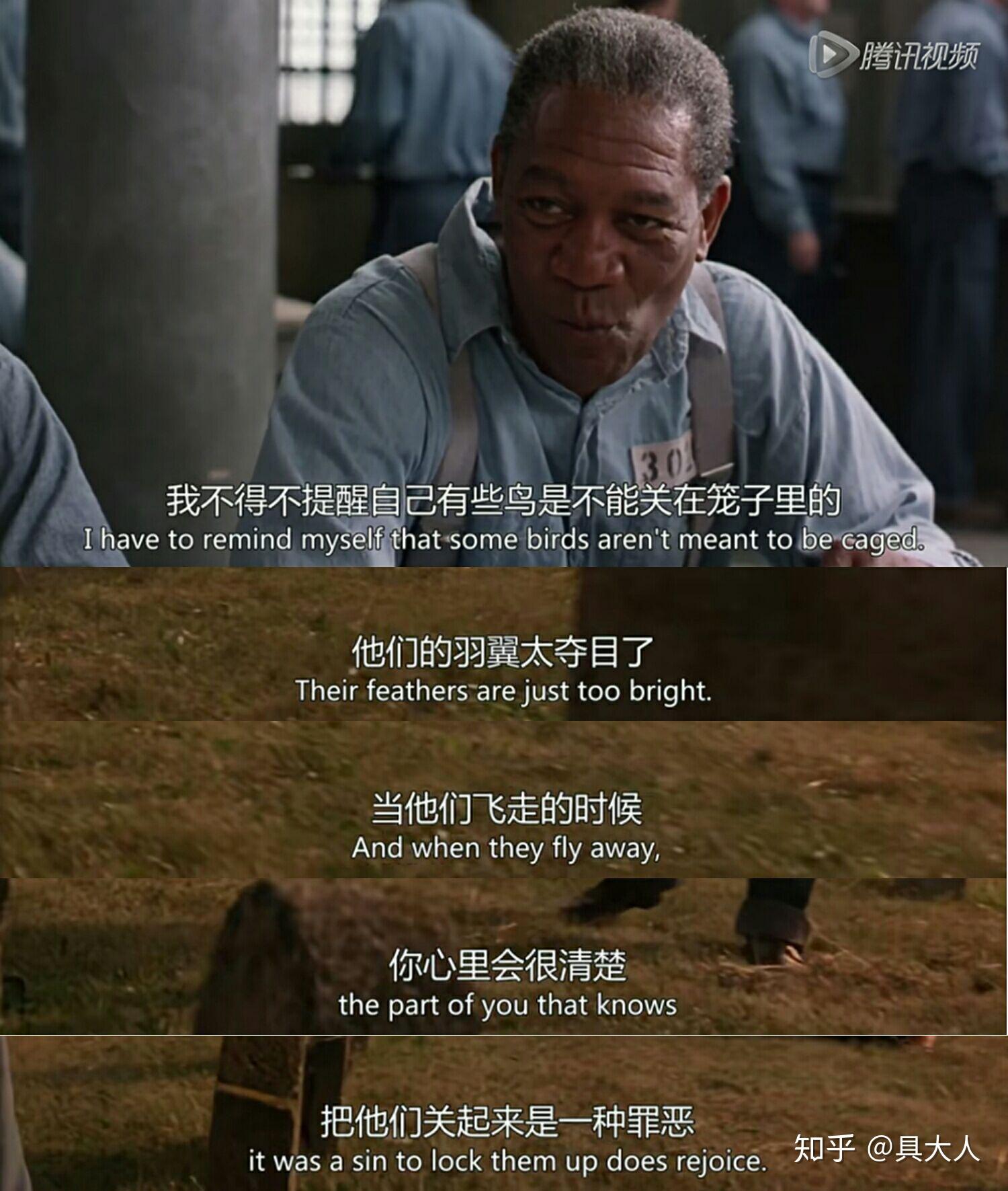 肖申的救赎下载_肖申克的救赎到底是什么意思_肖申克的救赎完整版免费下载