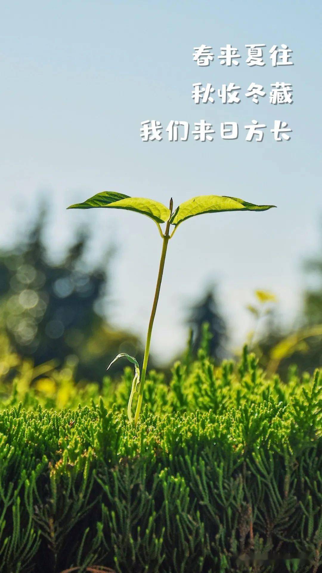 十月放假时间表2023年_十月放假_十月放假安排