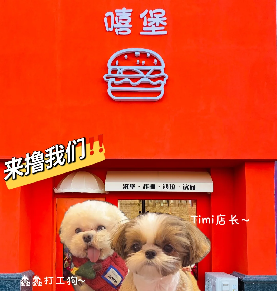 中文名转化成英文名_中文名转换日本名_imtoken中文名