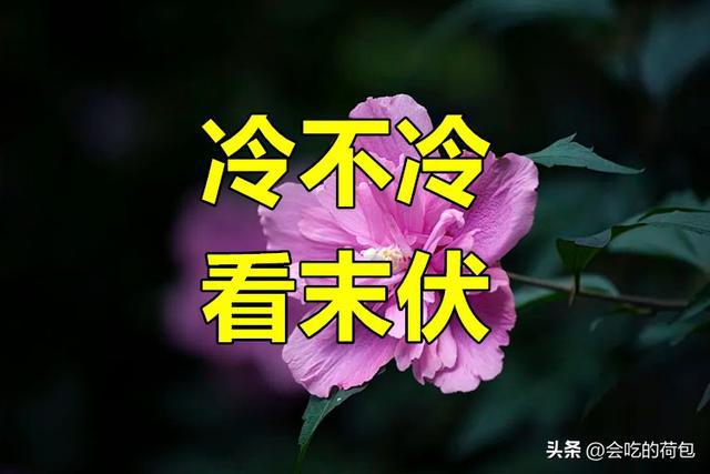 今年冬天很冷_今年冬天冷冬_今年冬天冷吗