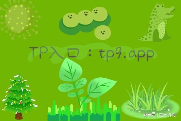 tp钱包怎么转账到小狐狸_小狐狸钱包转出_往小狐狸钱包转usdt