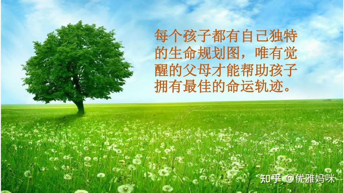 生命激流龙_激流属性有什么用_生命激流龙召唤台词