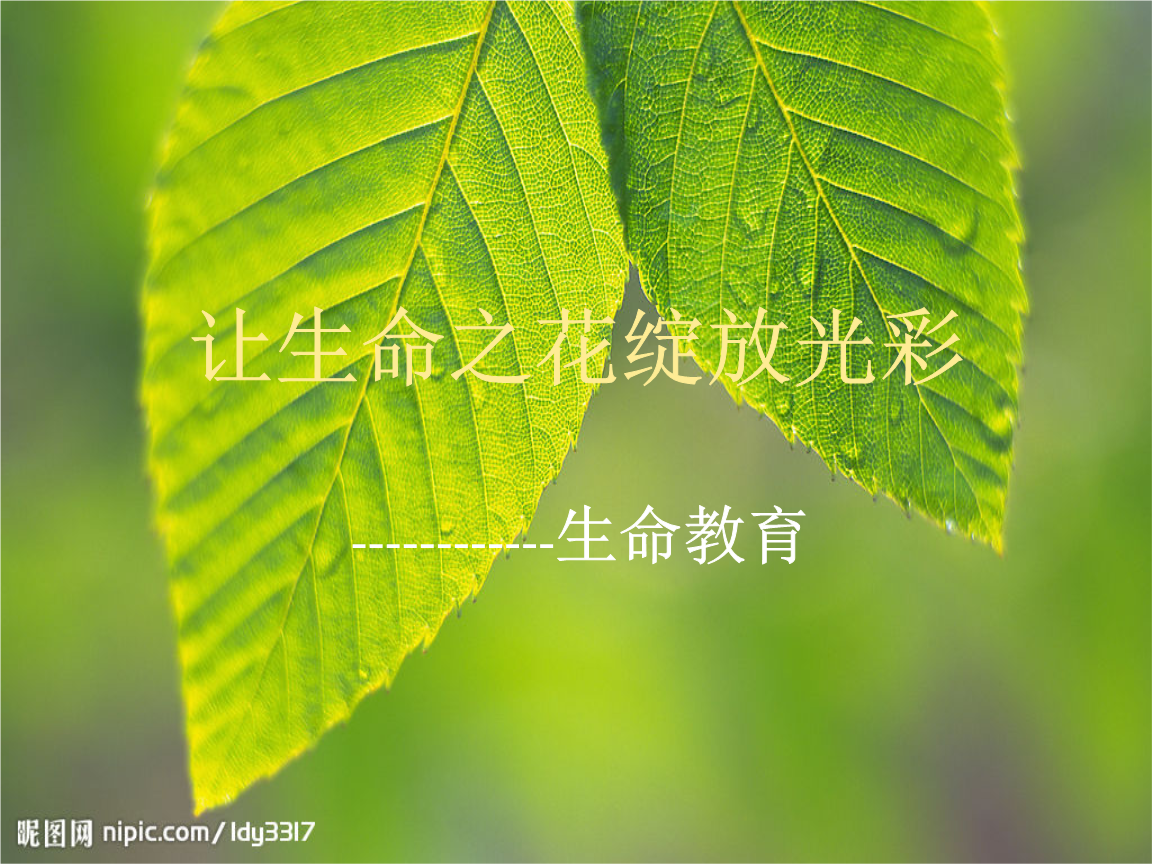 生命激流龙召唤台词_激流属性有什么用_生命激流龙