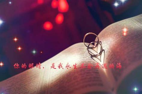 绪言：对生活的感悟与对未来的憧憬，心灵旅程的起点