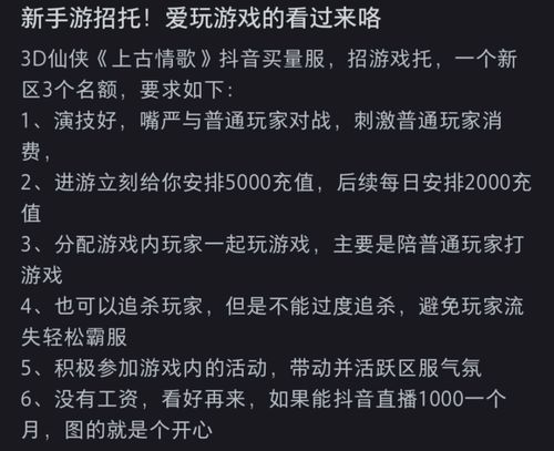 混沌西游(游戏托特权) 
